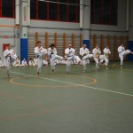 Shinkai klub - Božičnica 2016