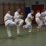 Shinkai klub - Božičnica 2016