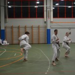 Shinkai klub - Božičnica 2016