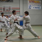 Shinkai klub - Božičnica 2016