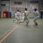 Shinkai klub - Božičnica 2016