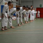 Shinkai klub - Božičnica 2016