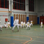 Shinkai klub - Božičnica 2016