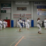 Shinkai klub - Božičnica 2016