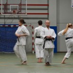 Shinkai klub - Božičnica 2016