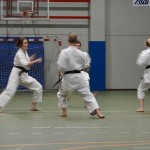 Shinkai klub - Božičnica 2016