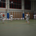 Shinkai klub - Božičnica 2016