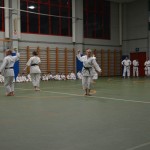 Shinkai klub - Božičnica 2016