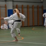 Shinkai klub - Božičnica 2016