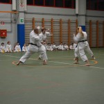 Shinkai klub - Božičnica 2016