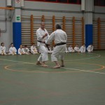 Shinkai klub - Božičnica 2016