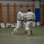 Shinkai klub - Božičnica 2016