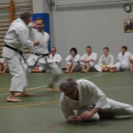 Shinkai klub - Božičnica 2016