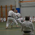 Shinkai klub - Božičnica 2016