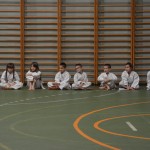 Shinkai klub - Božičnica 2016