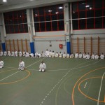 Shinkai klub - Božičnica 2016