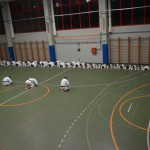 Shinkai klub - Božičnica 2016