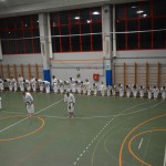 Shinkai klub - Božičnica 2016