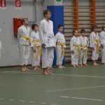 Shinkai klub - Božičnica 2016