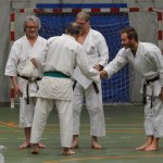 Shinkai klub - Božičnica 2016