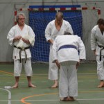 Shinkai klub - Božičnica 2016