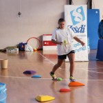 ZSŠDI, Jezikovni poligon