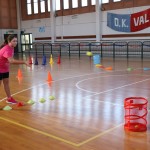 ZSŠDI, Jezikovni poligon