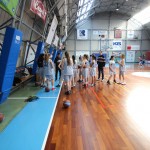 Polet/Bor/Breg - Sistema Rosa