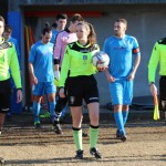 Vesna – Kras Repen