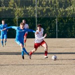 Vesna – Kras Repen