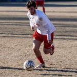 Vesna – Kras Repen