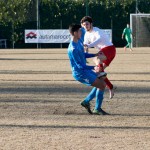 Vesna – Kras Repen