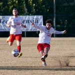 Vesna – Kras Repen