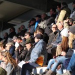 Vesna – Kras Repen