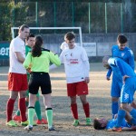 Vesna – Kras Repen