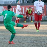 Vesna – Kras Repen