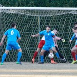 Vesna – Kras Repen