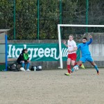 Vesna – Kras Repen