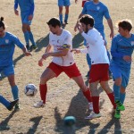 Vesna – Kras Repen