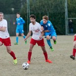 Vesna – Kras Repen