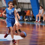 Polet/Bor/Breg - Sistema Rosa