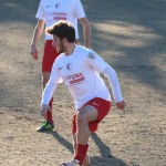 Vesna – Kras Repen