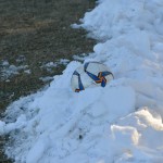 Sport - Nogomet - 1. Amaterska Liga - Derbi - Zarja - Mladost