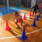 ZSSDI - Skokicin vrtiljak