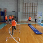 ZSSDI - Skokicin vrtiljak