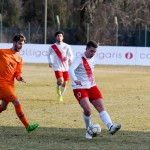 Manzanese - Kras Repen