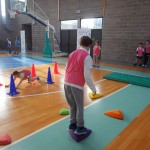 ZSSDI - Skokicin vrtiljak