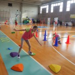 ZSSDI - Skokicin vrtiljak