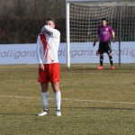 Manzanese - Kras Repen