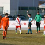 Manzanese - Kras Repen